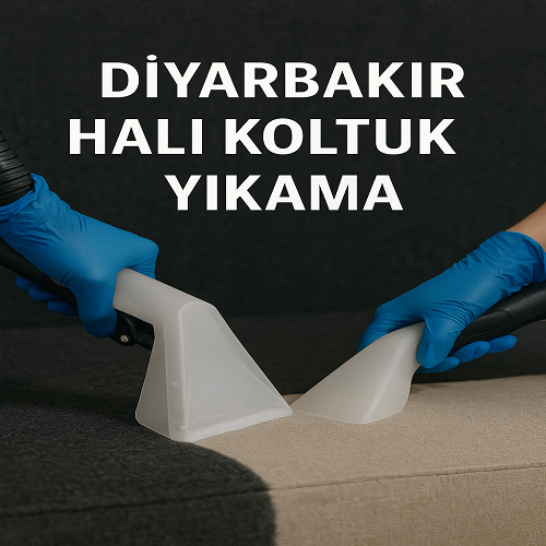 Halı Koltuk Yıkama Firmaları